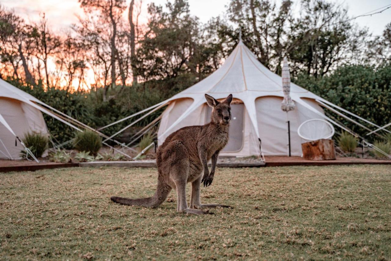 The Cove Jervis Bay Villa Exteriör bild